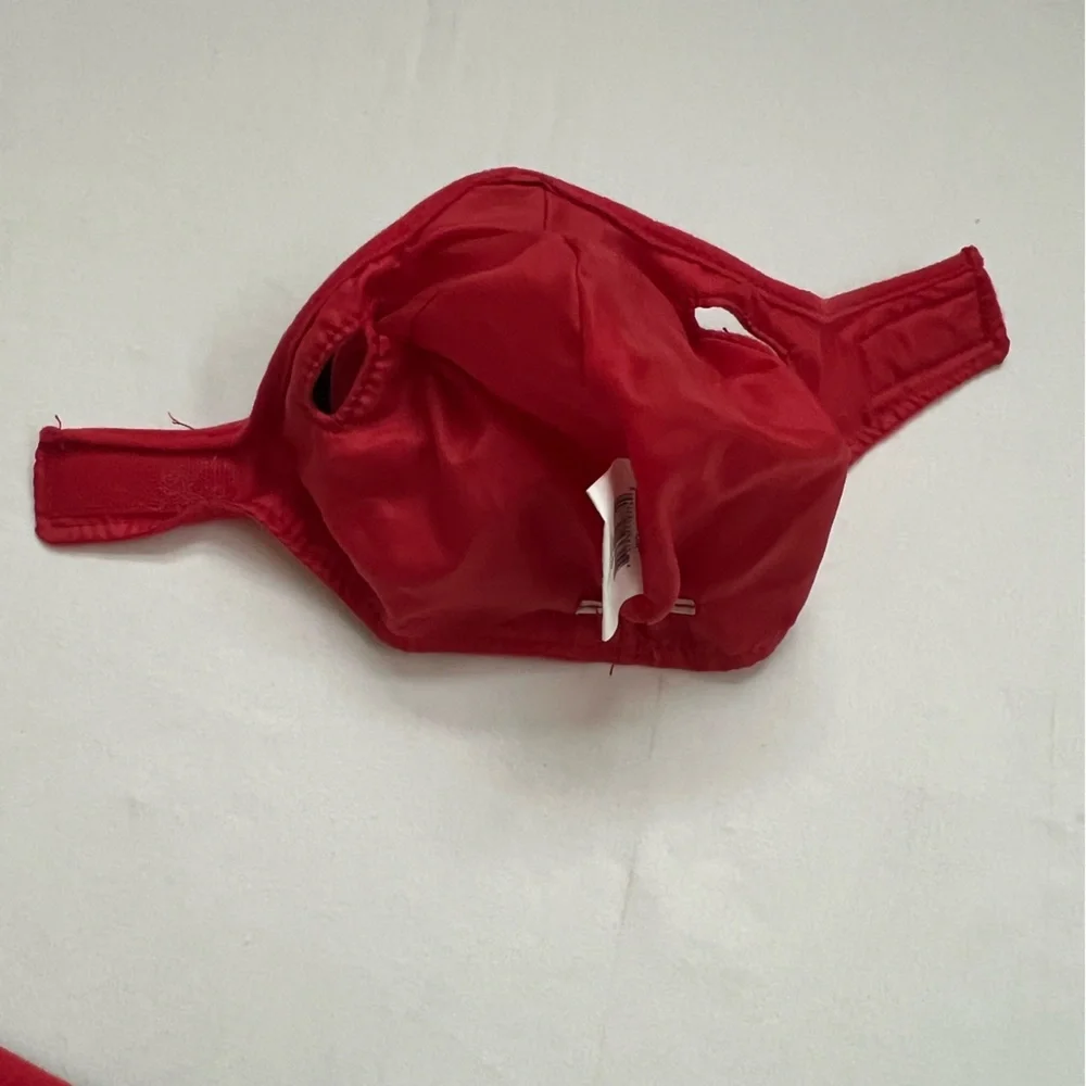 Devil Dog Costume Top Paw Halloween Size M 2 Pieces Hat With Horns and Cape Pup
